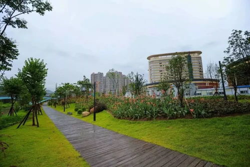 《龍巖市城市綠化條例》2020年施行 綠化帶禁止停車種菜，規(guī)范園林綠化工程施工