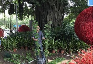 福州市園林局與監督站協同發力，以優質綠化獻禮十九大