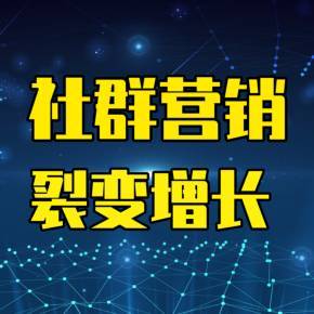 裂變?cè)鲩L與社群營銷 企業(yè)營銷策劃實(shí)戰(zhàn)指南